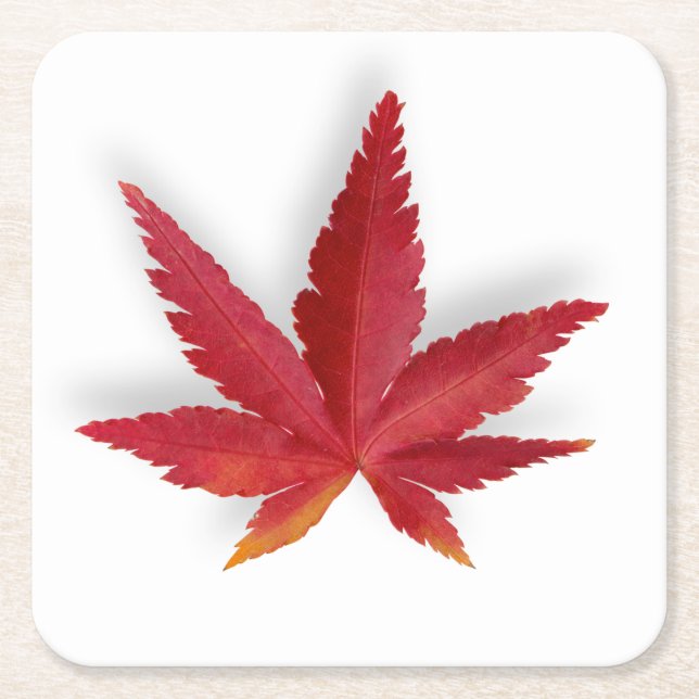 Herbstblatt Roter Single Rechteckiger Pappuntersetzer (Vorderseite)