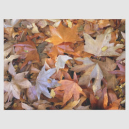 Herbstblatt Seidenpapier