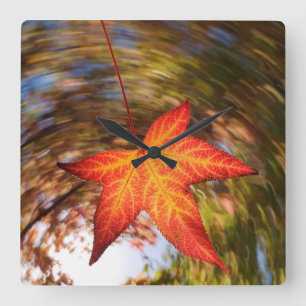 Herbstblatt von einem Baum Quadratische Wanduhr