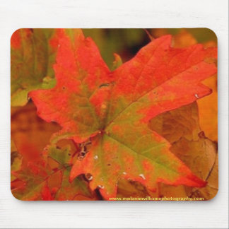 Herbstblattauflage Mousepad