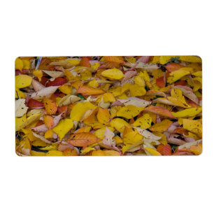Herbstblätter