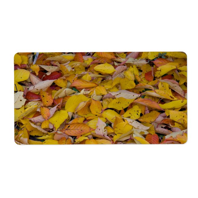 Herbstblätter (Vorne)