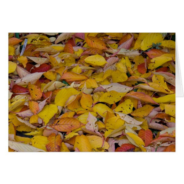 Herbstblätter (Vorderseite (Horizontal))