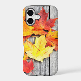 Herbstblätter