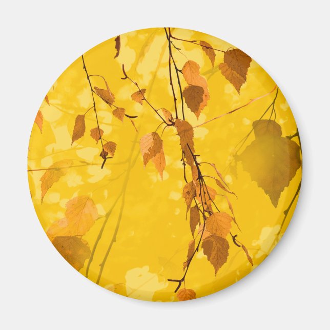 Herbstblätter 3 magnet (Vorne)
