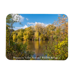Herbstblätter am Minnesota-Fluss Magnet