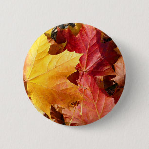 Herbstblätter - Atemberaubend! Button