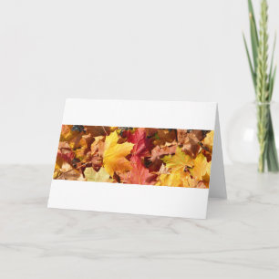 Herbstblätter - Atemberaubend! Feiertagskarte
