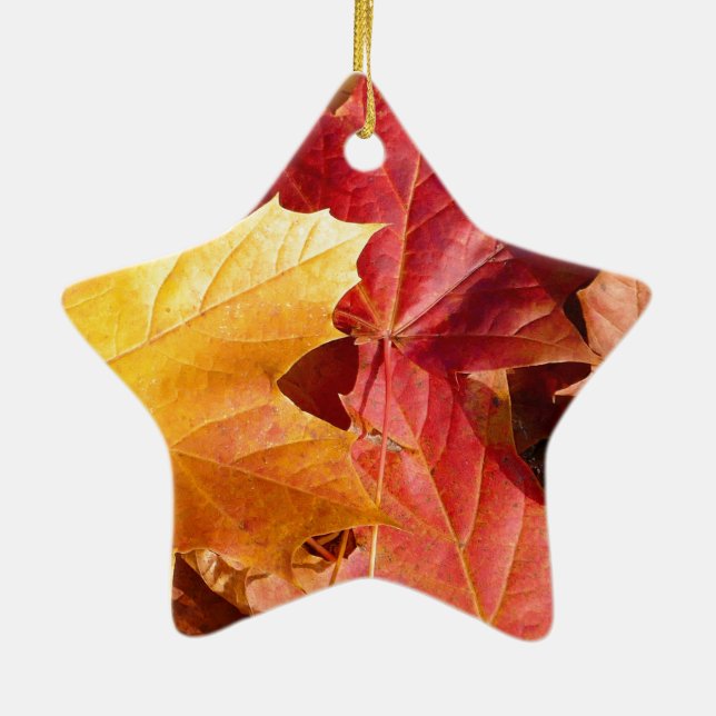 Herbstblätter - Atemberaubend! Keramik Ornament (Hinten)