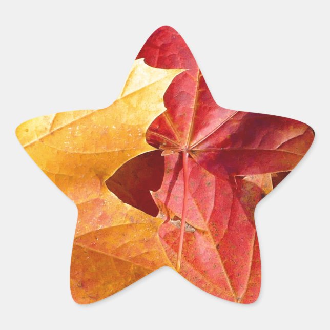 Herbstblätter - Atemberaubend! Stern-Aufkleber (Vorderseite)