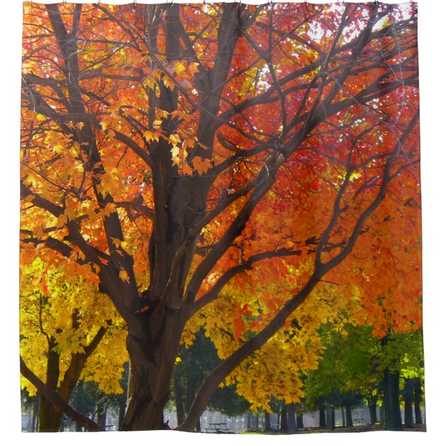Herbstblätter aus Gelb- und Orangenbäumen, Foto Duschvorhang (Vorderseite)