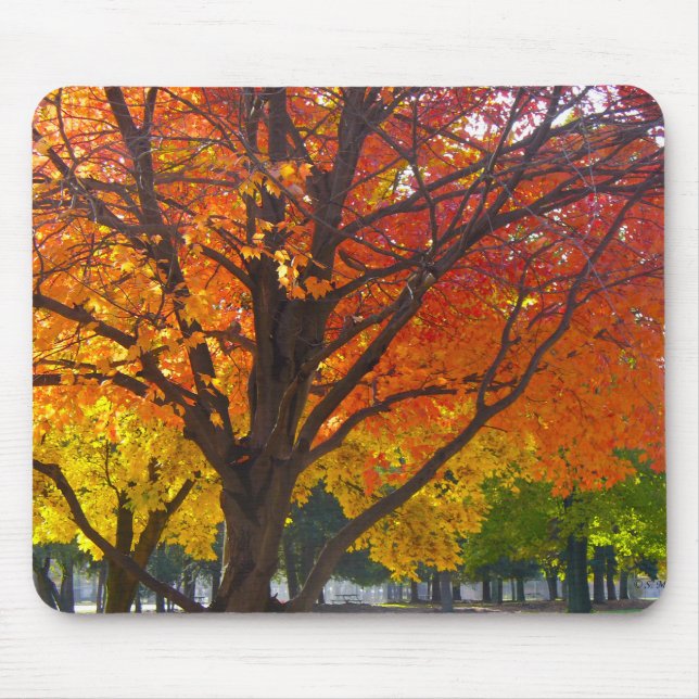 Herbstblätter aus Gelb- und Orangenbäumen, Foto Mousepad (Vorne)