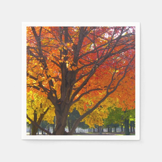 Herbstblätter aus Gelb- und Orangenbäumen, Foto Serviette (Vorderseite)