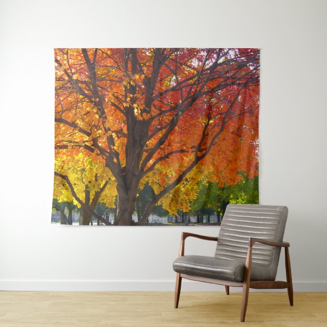 Herbstblätter aus Gelb- und Orangenbäumen, Foto Wandteppich (Beispiel (Horizontal))