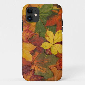 Herbstblätter Case-Mate iPhone Hülle
