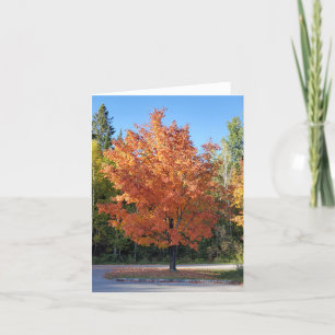 Herbstblätter Dankeskarte