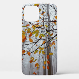 Herbstblätter fallen unter Waldblatt Case-Mate iPhone Hülle