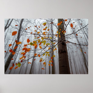 Herbstblätter fallen unter Waldblatt Poster