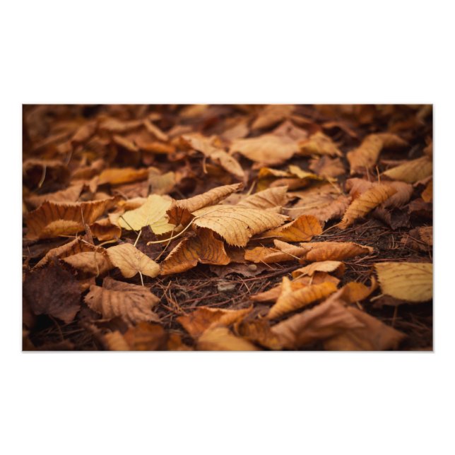 Herbstblätter Fotodruck (Vorne)