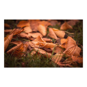 Herbstblätter Fotodruck