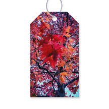 Herbstblätter