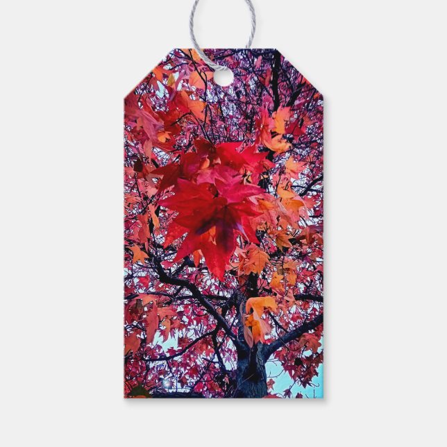 Herbstblätter Geschenkanhänger (Vorderseite)