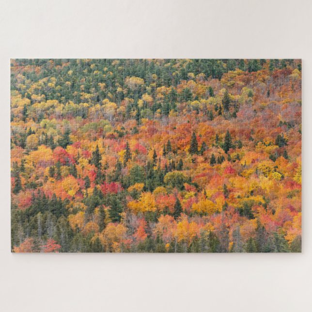 Herbstblätter | Halbinsel Keweenaw, Michigan (Horizontal)