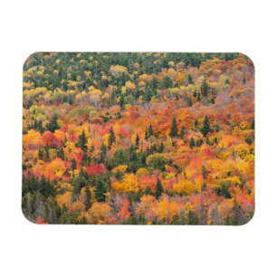 Herbstblätter Halbinsel Keweenaw, Michigan Magnet