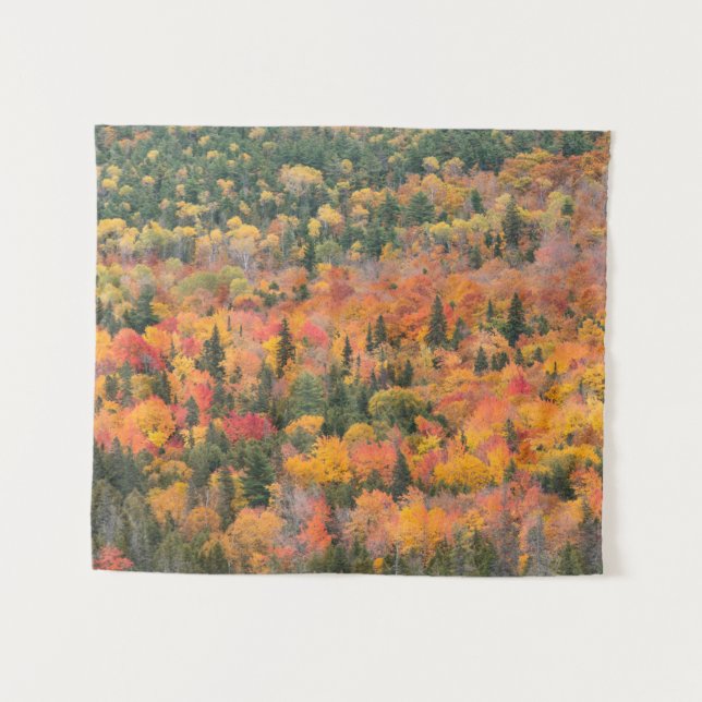 Herbstblätter | Halbinsel Keweenaw, Michigan Wandteppich (Vorderseite (Horizontal))