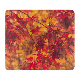 Herbstblätter Herbstlaub Natur Schneidebrett