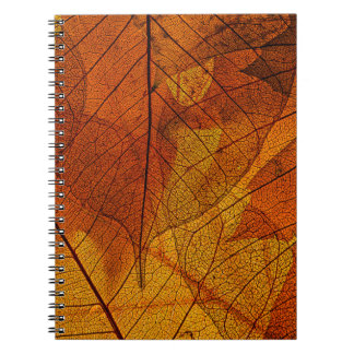 Herbstblätter im Detail Herbst,Hintergrund,Beaut Notizblock