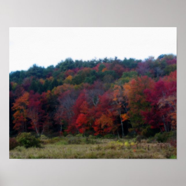 Herbstblätter im Feld Poster (Vorne)