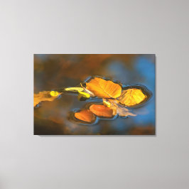 Herbstblätter im See Leinwanddruck
