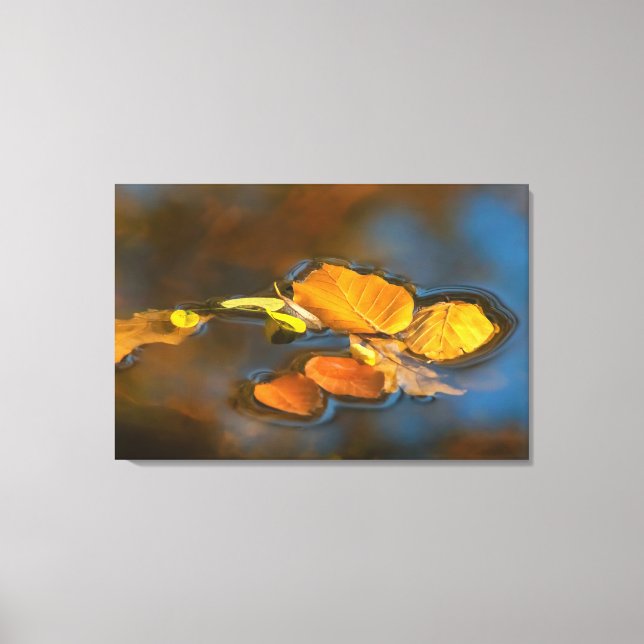 Herbstblätter im See Leinwanddruck (Vorderseite)