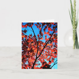 Herbstblätter Karte