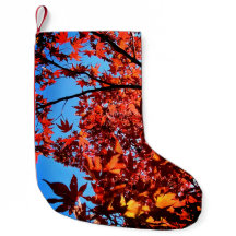 Herbstblätter