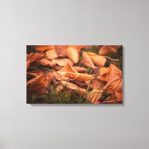 Herbstblätter Leinwanddruck