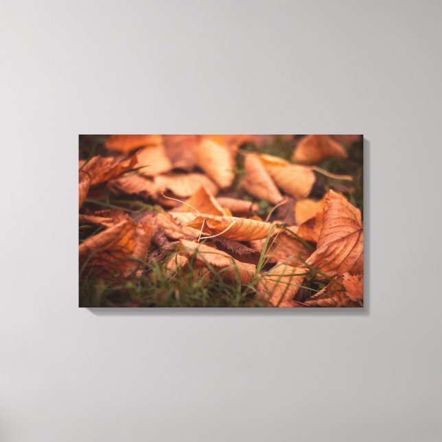 Herbstblätter Leinwanddruck (Vorderseite)