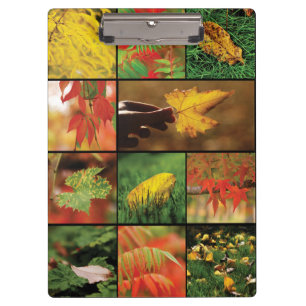 Herbstblätter-Mischung Klemmbrett