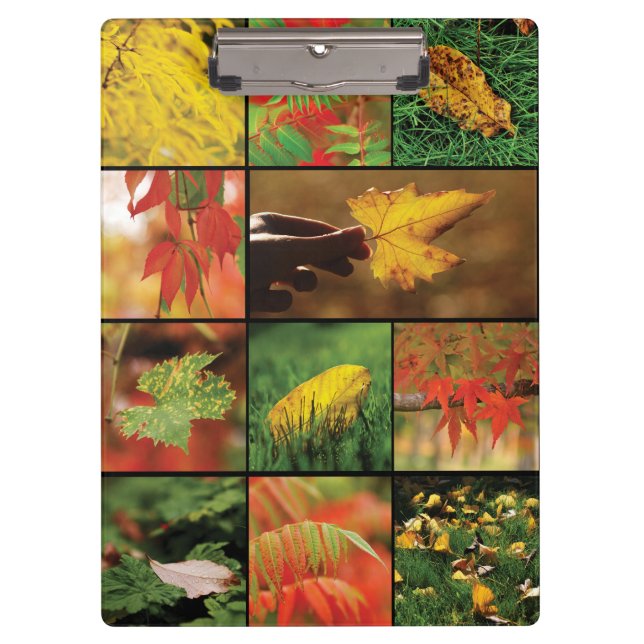 Herbstblätter-Mischung Klemmbrett (Vorderseite)