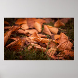 Herbstblätter Poster