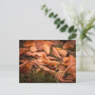 Herbstblätter Postkarte