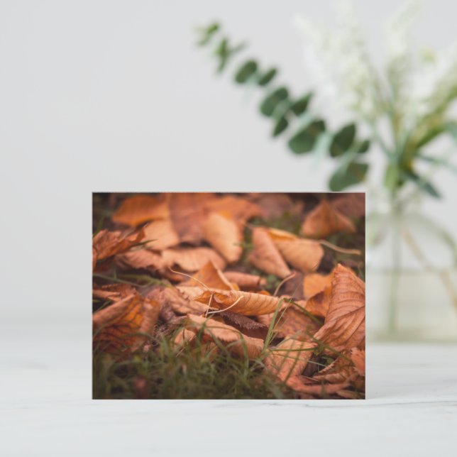 Herbstblätter Postkarte (Stehend Vorderseite)
