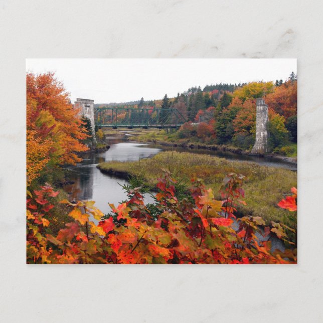 Herbstblätter Postkarte (Vorderseite)