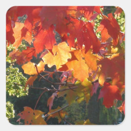 Herbstblätter Quadratischer Aufkleber