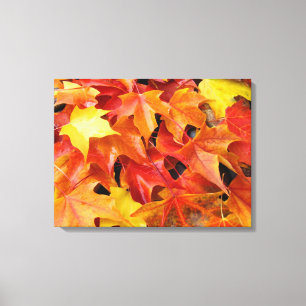 Herbstblätter Rot Gelb Orange Fall Leinwand Kunst