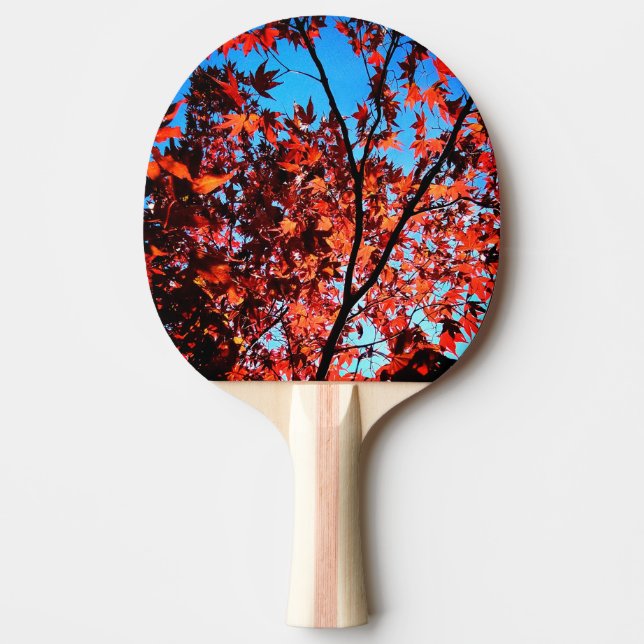 Herbstblätter Tischtennis Schläger (Vorderseite)