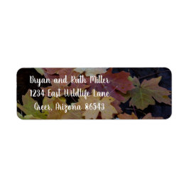 Herbstblätter überall