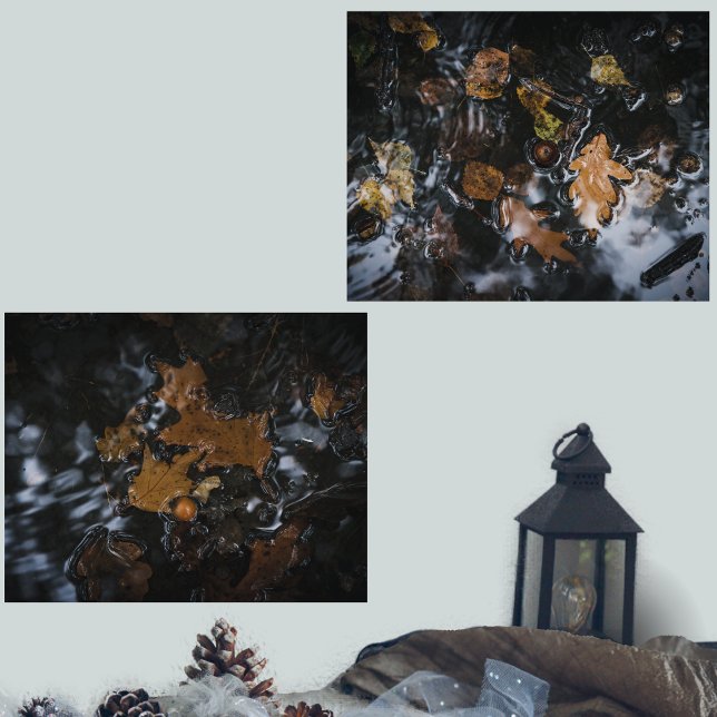 Herbstblätter und Eichen in geheimnisvollen Gewäss Bilderwand Sets (Von Creator hochgeladen)
