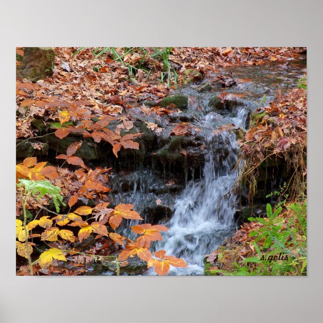 Herbstblätter und Wasserfall Foto Poster (Vorne)